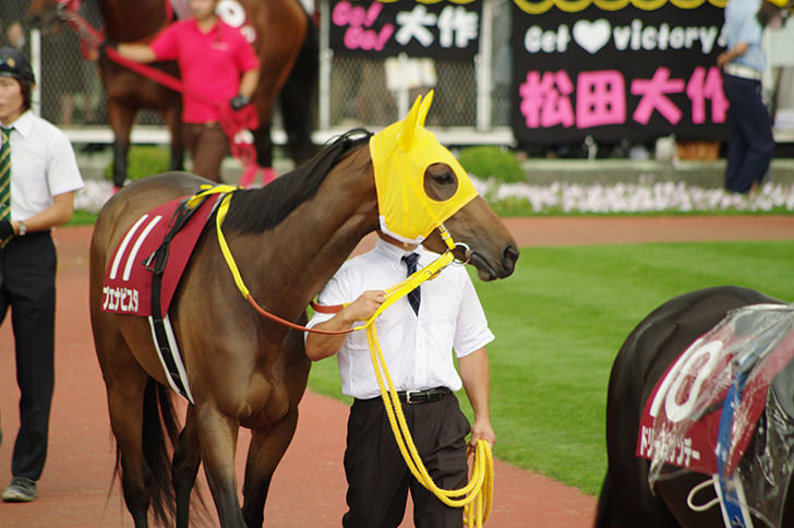 本地视频